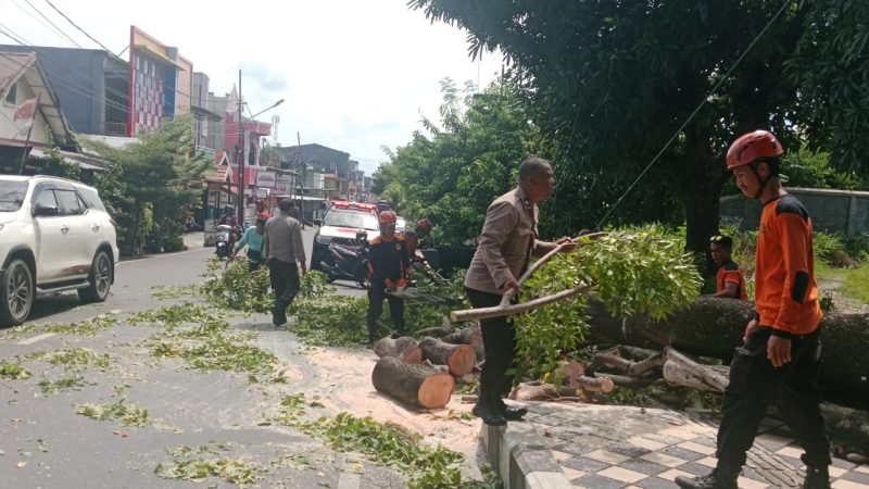Polsek Soreang Kerahkan Personel Bantu Evakuasi Pohon Tumbang