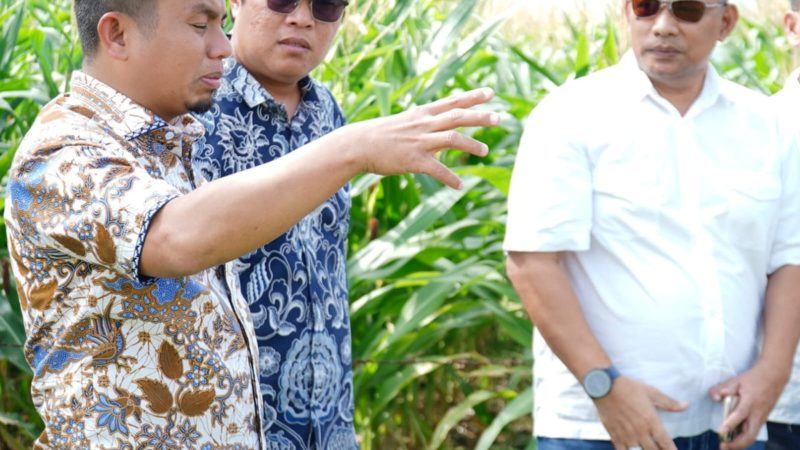 Parepare Tarik Investor Strategis, PT KIMA dan PT KBI Tinjau Lokasi Kawasan Industri KIPAS