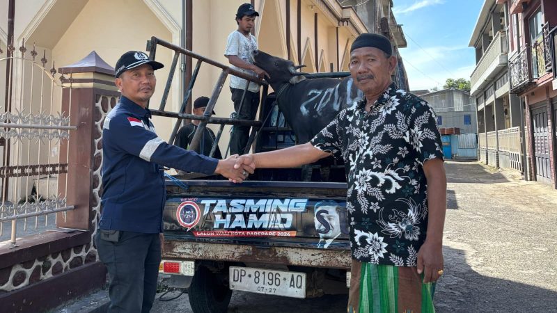 Berkah Iduladha, PT. DLU Parepare Sumbang 3 Ekor Sapi Kurban