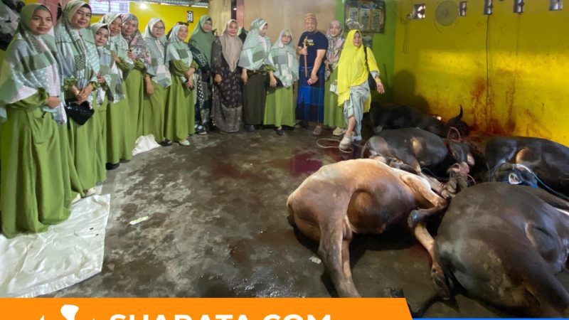 Kurban 5 Ekor Sapi, Kelompok Pengajian Asmaul Husna Konsisten Berbagi