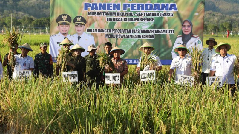 Parepare Menuju Kota Penghasil Benih Padi: Panen Perdana Diperkirakan Capai 10 Ton