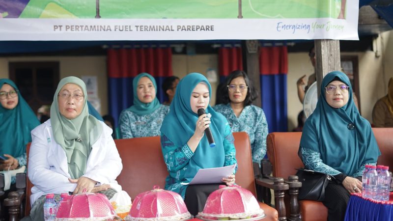 PKK Parepare Apresiasi Peluncuran Posyandu Jiwa, Serukan Penghapusan Stigma ODGJ