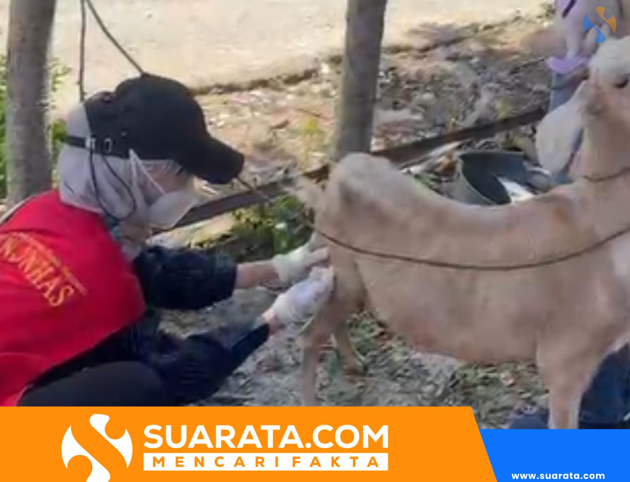 FGD Mahasiswa KKN-PK Unhas Dorong Praktik Sehat Hewan Ternak di Desa Pa’jukukang Bantaeng