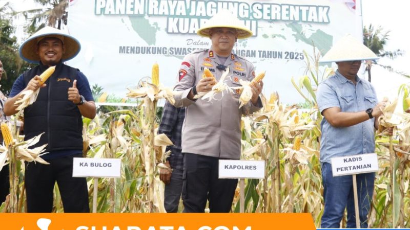 Kuartal III Panen Raya Jagung Serentak, Kapolres Pinrang Apresiasi Petani