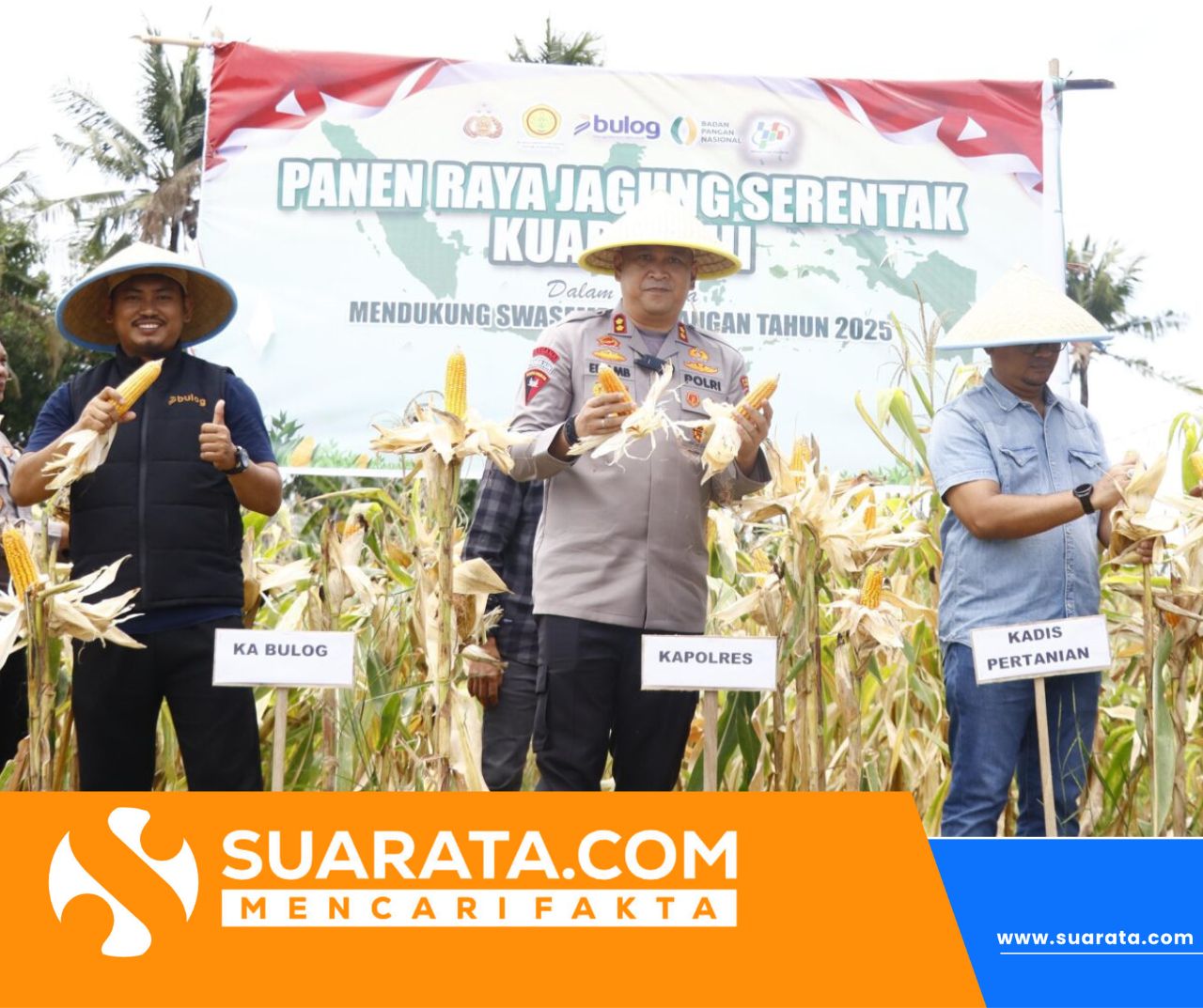 Kuartal III Panen Raya Jagung Serentak, Kapolres Pinrang Apresiasi Petani