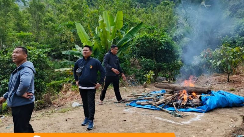 Penggerebekan Sabung Ayam di Tapango: Polisi Musnahkan Arena Judi