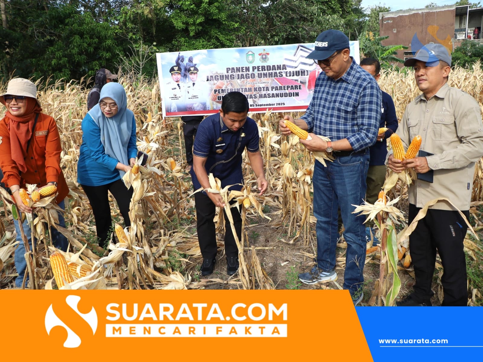 Panen Perdana Jagung Jago Unhas, Parepare Siap Kembangkan Sentra Pembibitan