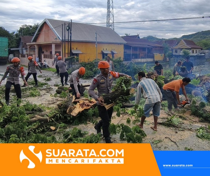 Tim SAR Batalyon B Pelopor Satuan Brimob Polda Sulsel Evakuasi Pohon Tumbang di Jalan Poros Parepare–Makassar