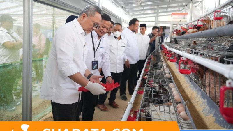 Menko Pangan Zulkifli Hasan Apresiasi PNM: Dorong Ketahanan Pangan Lewat Program Ayam Petelur