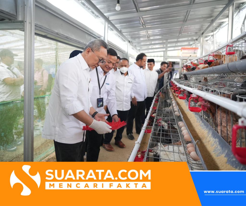 Menko Pangan Zulkifli Hasan Apresiasi PNM: Dorong Ketahanan Pangan Lewat Program Ayam Petelur