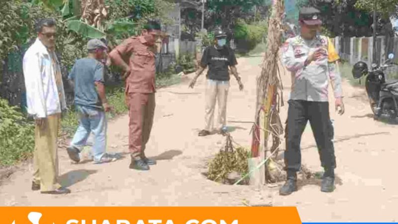 Kesal Jalan Tak Diperbaiki, Warga Polman Lakukan Aksi Kreatif Tanam Pisang