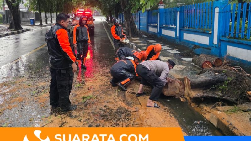 Personel Polsek KPN Bantu Bersihkan Pohon Tumbang di Depan Kantor KPPN Parepare