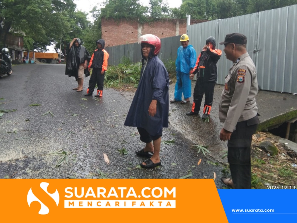Pohon Tumbang di Jalan Kesuma Timur, Polisi Imbau Warga dan Pengendara Hati-Hati