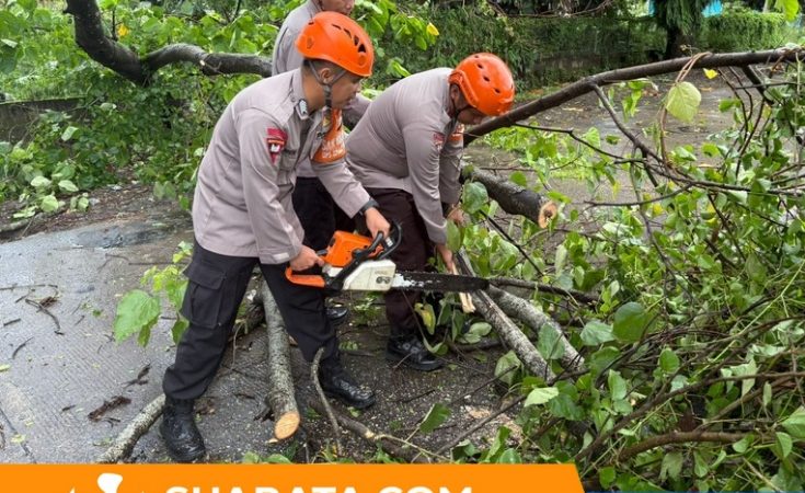 Tim SAR Batalyon B Pelopor SatBrimob Polda Sulsel Evakuasi Pohon Tumbang di Jalur Poros Barru–Makassar