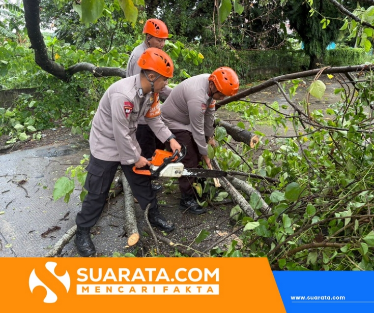 Tim SAR Batalyon B Pelopor SatBrimob Polda Sulsel Evakuasi Pohon Tumbang di Jalur Poros Barru–Makassar