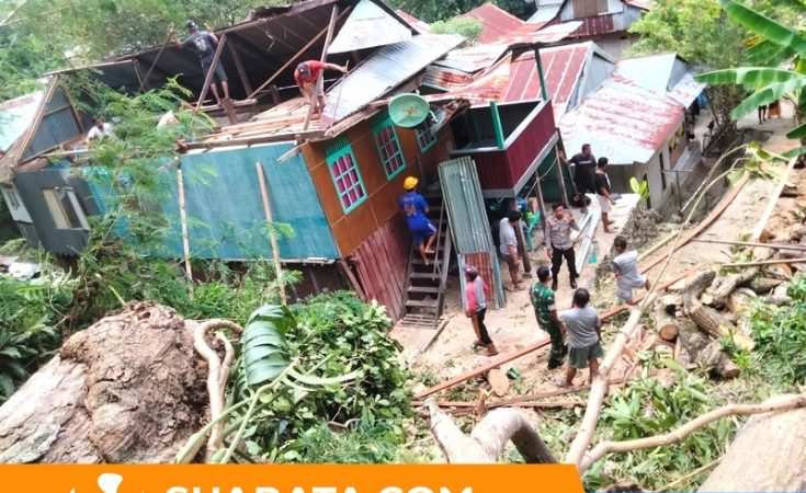 Pohon Tua Tumbang Timpa Rumah Warga Majene, Bhabinkamtibmas dan Babinsa Sigap Turun Tangan