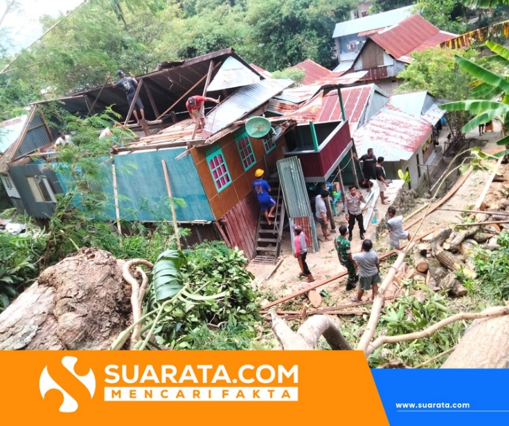 Pohon Tua Tumbang Timpa Rumah Warga Majene, Bhabinkamtibmas dan Babinsa Sigap Turun Tangan