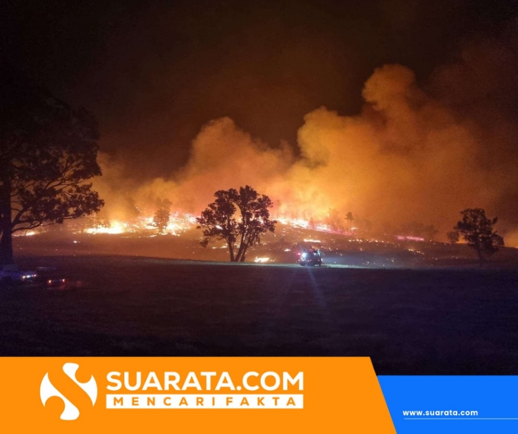 Gelombang Panas Ekstrem Landa Victoria, Kebakaran Hutan Meluas hingga 48,9 Derajat Celcius