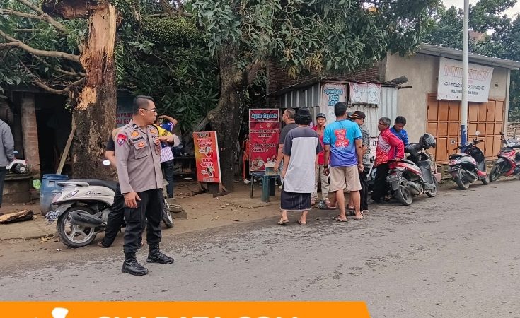 Cuaca Ekstrem di Polman, Dua Rumah Rusak Tertimpa Pohon Mangga di Manding