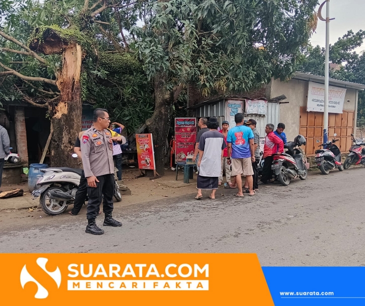 Cuaca Ekstrem di Polman, Dua Rumah Rusak Tertimpa Pohon Mangga di Manding