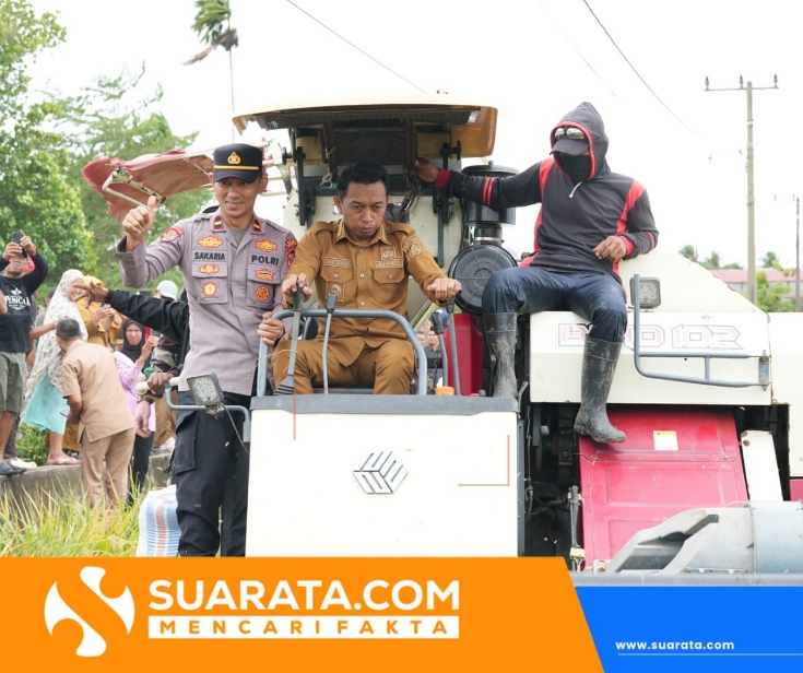 Panen Raya Bila Riase, Bupati Sidrap Operasikan Combine Harvester dan Serukan Petani Go Modern
