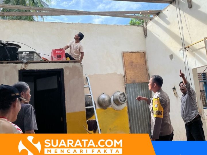 Pohon Kelapa Tumbang Timpa Rumah Warga di Polewali, Kerugian Rp3 Juta
