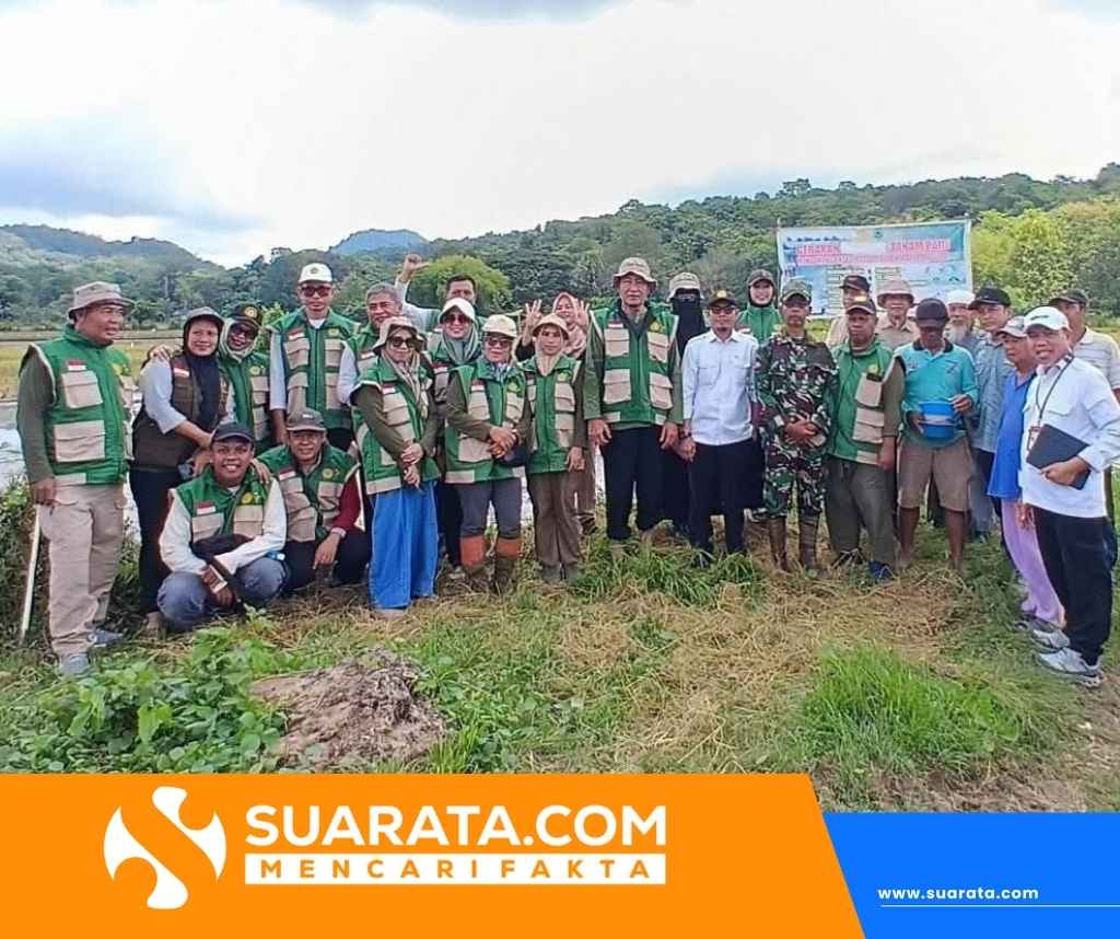 Danramil 1405-08/Tanete Riaja Bersama Babinsa Hadiri Gerakan Tanam Padi 25 Hektar di Desa Libureng, Percepat Target LTT MT 2026