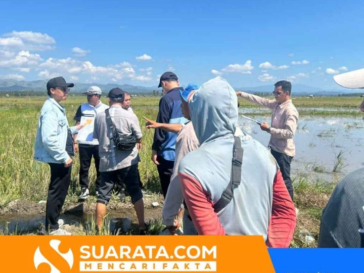 Polisi Kawal Sidang Sengketa Lahan di Polman, Pemeriksaan Lapangan Digelar