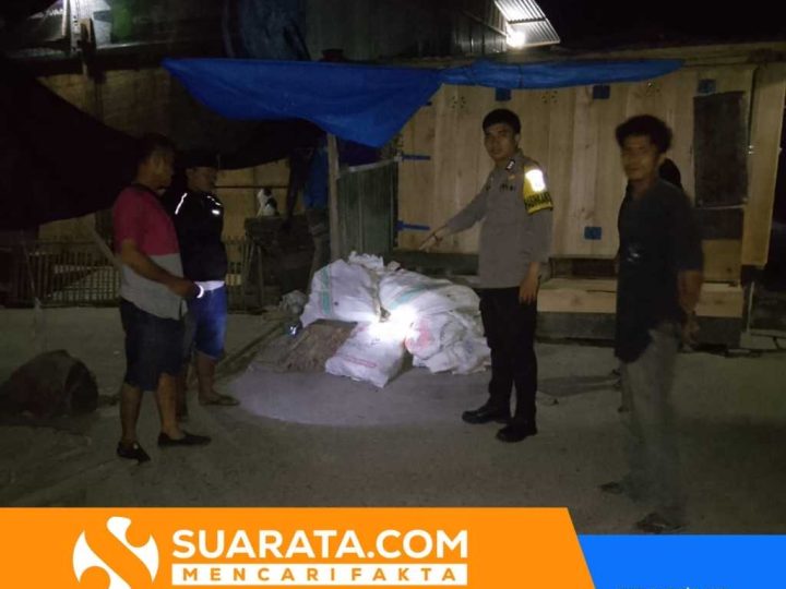 Pencurian Ubi di Pasar Campalagian, Dua Terduga Pelaku Kabur