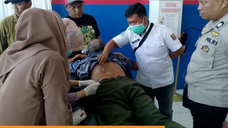 Kakek 75 Tahun Diterkam Buaya Saat Menyeberangi Sungai di Tinambung, 8 Luka Robek di Pinggang