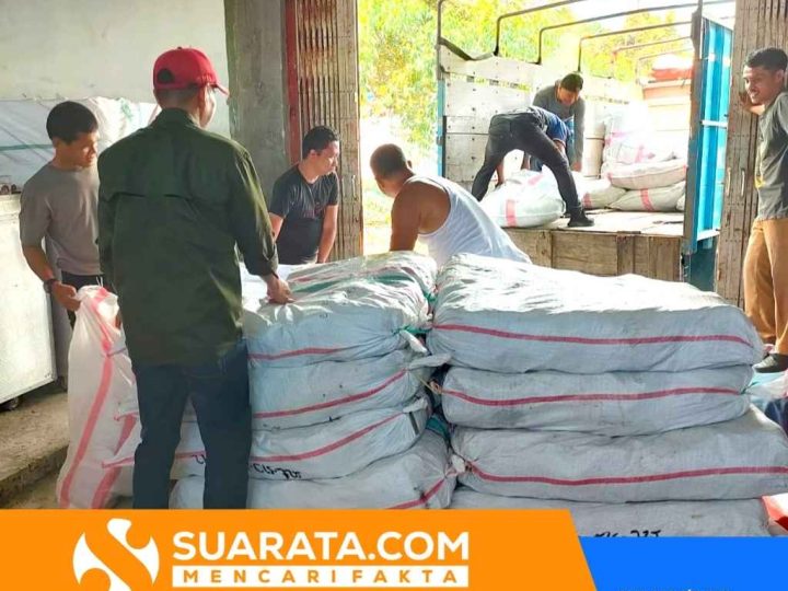 Dinsos P3APMD Sulbar Siapkan Cadangan Logistik untuk Wilayah Rawan Bencana
