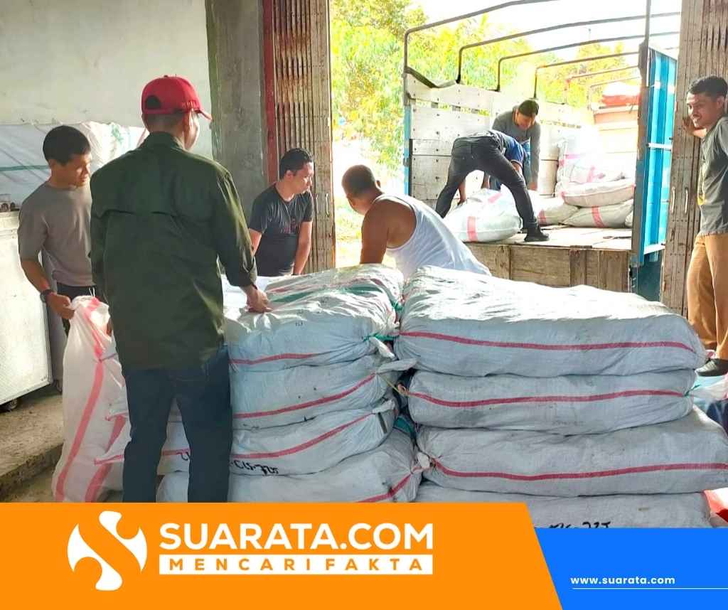 Dinsos P3APMD Sulbar Siapkan Cadangan Logistik untuk Wilayah Rawan Bencana