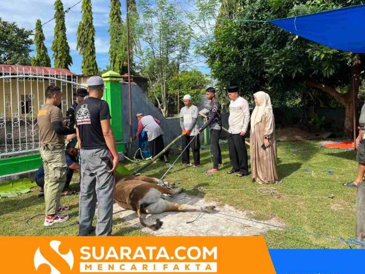 Personel Batalyon B Pelopor Mulai Penyembelihan Hewan Kurban di Hari Pertama Iduladha