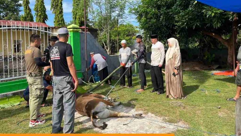 Personel Batalyon B Pelopor Mulai Penyembelihan Hewan Kurban di Hari Pertama Iduladha