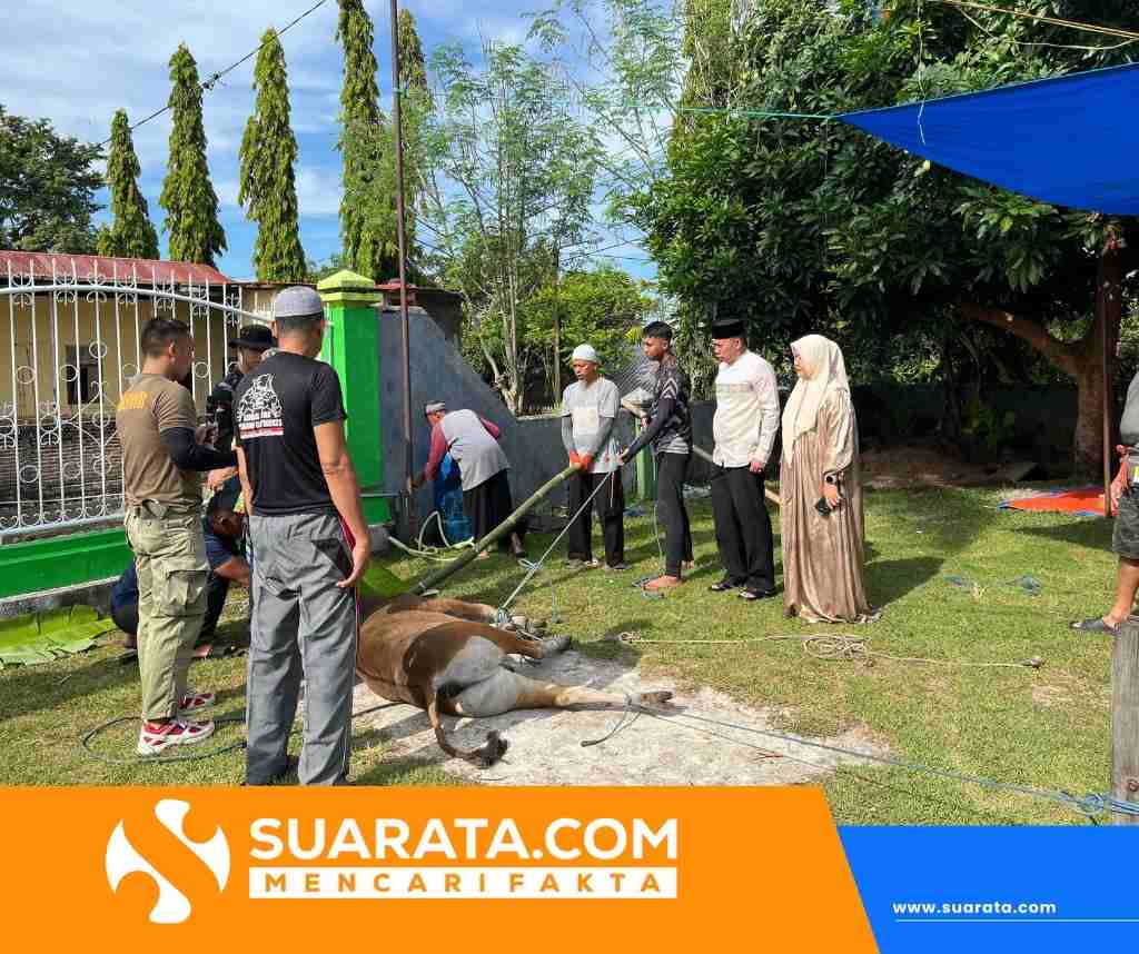 Personel Batalyon B Pelopor Mulai Penyembelihan Hewan Kurban di Hari Pertama Iduladha