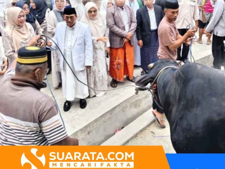 Presiden Prabowo Salurkan Sapi Kurban Jumbo ke Majene