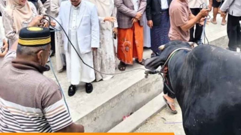 Presiden Prabowo Salurkan Sapi Kurban Jumbo ke Majene
