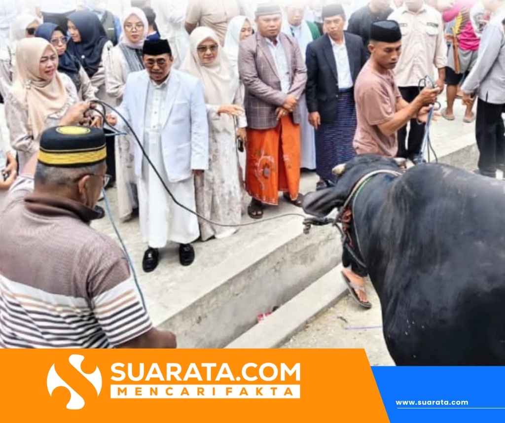 Presiden Prabowo Salurkan Sapi Kurban Jumbo ke Majene