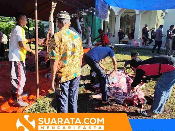 Hari Kedua Kurban di Masjid Nurul Askar, Brimob dan Warga Kompak Gotong Royong
