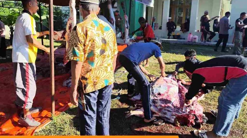 Hari Kedua Kurban di Masjid Nurul Askar, Brimob dan Warga Kompak Gotong Royong