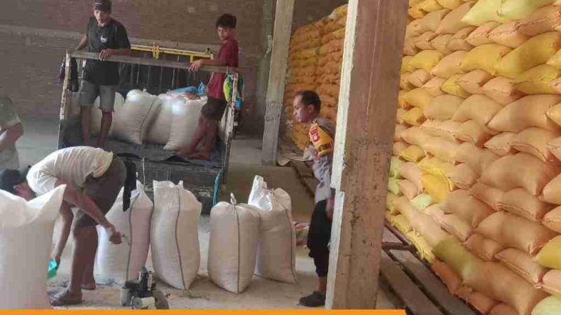 Bulog Serap 1 Ton Jagung Petani Kalumammang Senilai Rp6,4 Juta