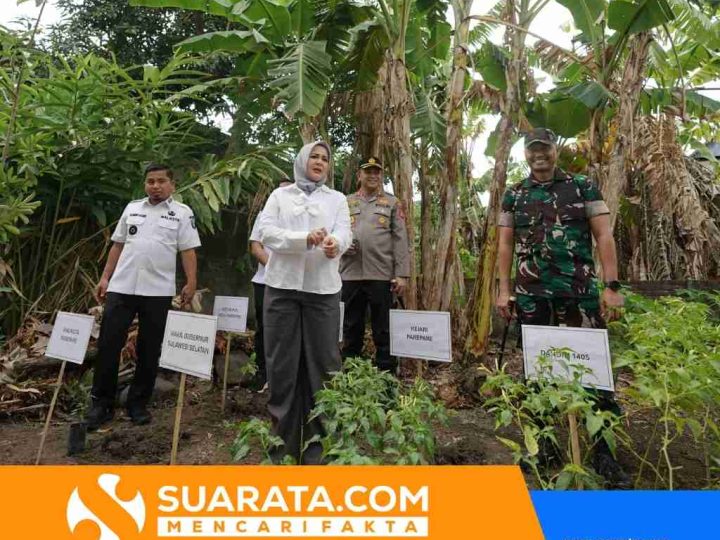 Kapolres Parepare Dukung Penurunan Stunting, Tanam Bibit Cabai Bersama Wagub Sulsel di Lumpue