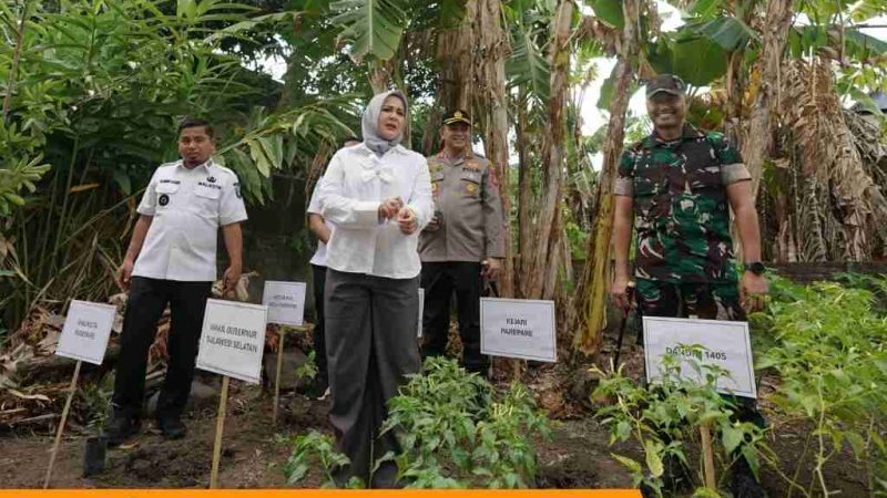 Kapolres Parepare Dukung Penurunan Stunting, Tanam Bibit Cabai Bersama Wagub Sulsel di Lumpue