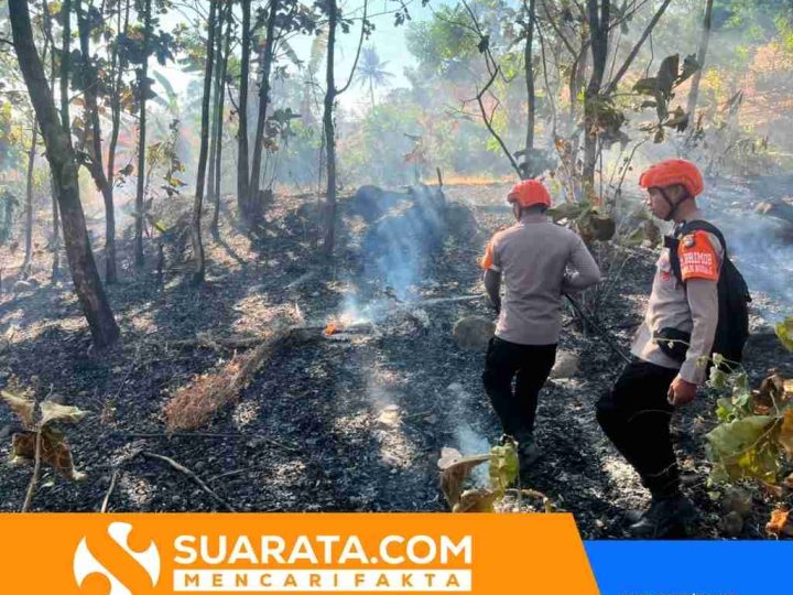 Gerak Cepat Brimob, Kebakaran Lahan di Kampung Mandar Berhasil Dipadamkan