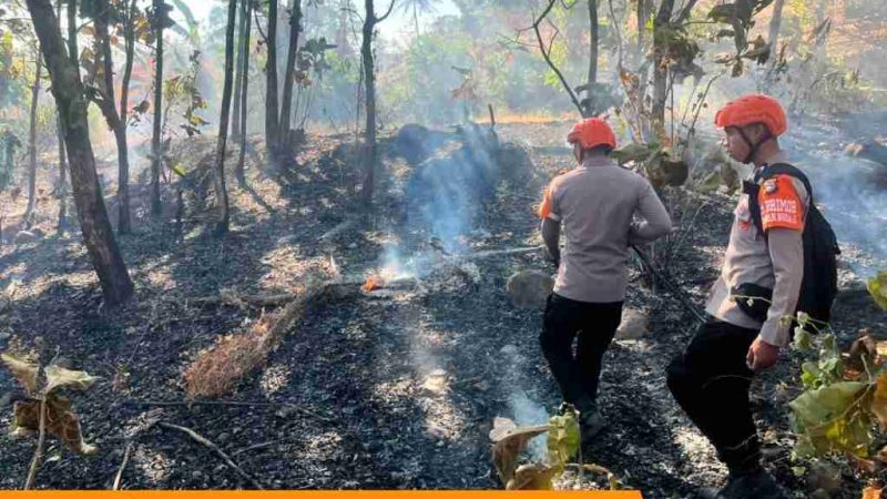 Gerak Cepat Brimob, Kebakaran Lahan di Kampung Mandar Berhasil Dipadamkan