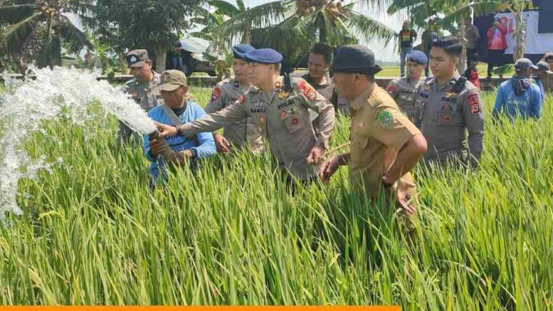 Kekeringan di Sidrap, Brimob Salurkan Air ke Sawah Petani Desa Kanie