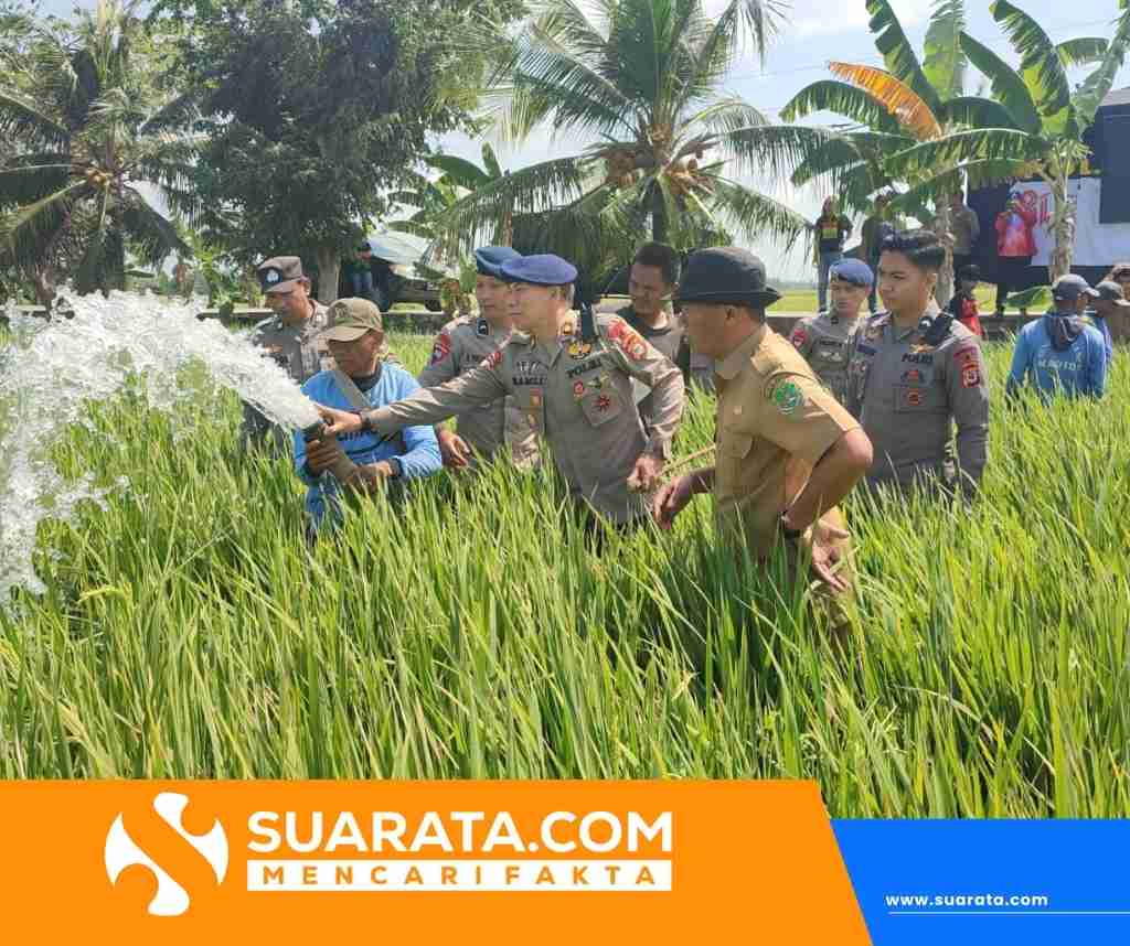 Kekeringan di Sidrap, Brimob Salurkan Air ke Sawah Petani Desa Kanie