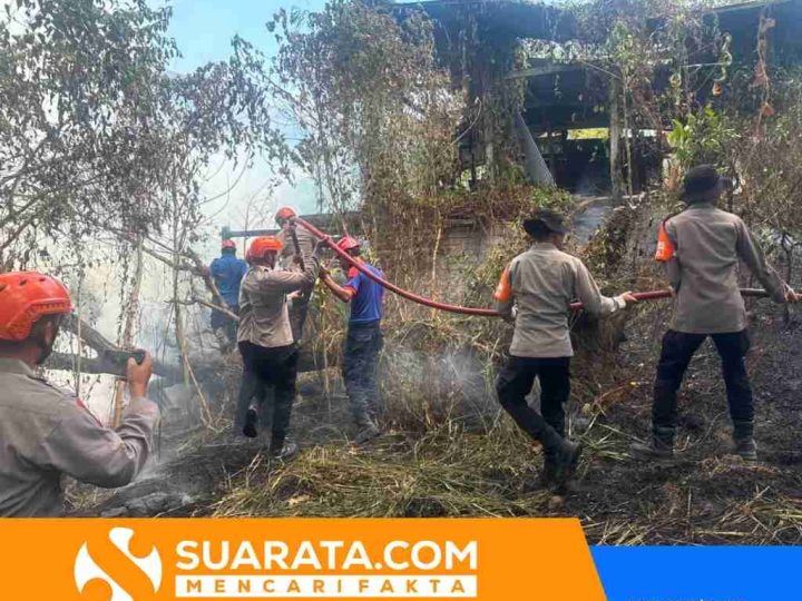 Kebakaran Lahan di Bukit Harapan Parepare, Tim SAR Brimob Turun Memadamkan Api