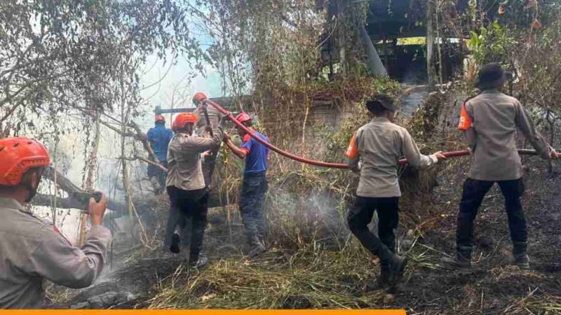 Kebakaran Lahan di Bukit Harapan Parepare, Tim SAR Brimob Turun Memadamkan Api