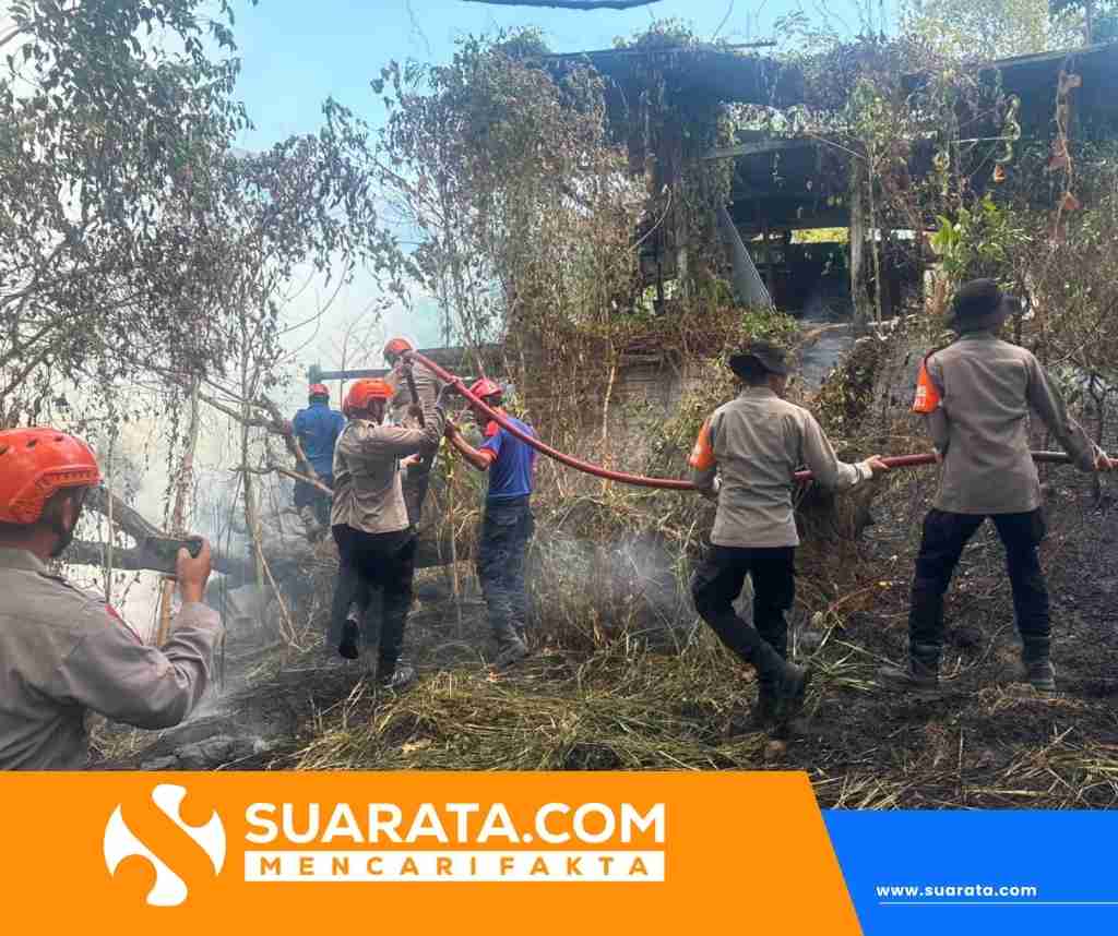 Kebakaran Lahan di Bukit Harapan Parepare, Tim SAR Brimob Turun Memadamkan Api